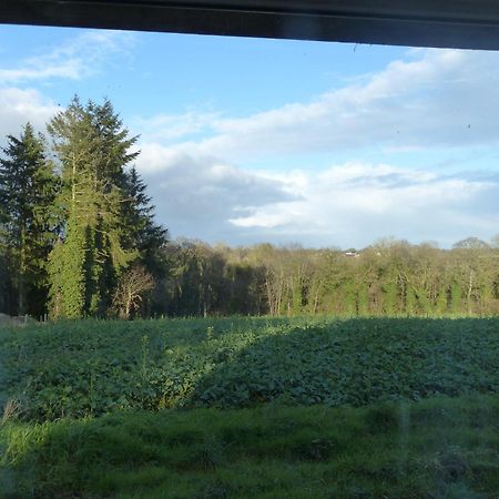 Kerouze Villa Bringolo Exteriör bild